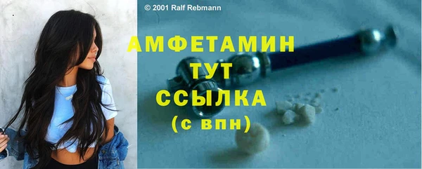 сатива Армянск