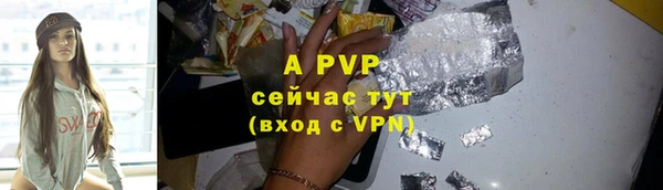 сатива Армянск