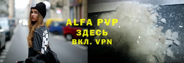 сатива Покачи