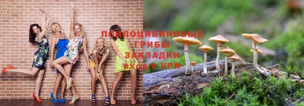 сатива Армянск
